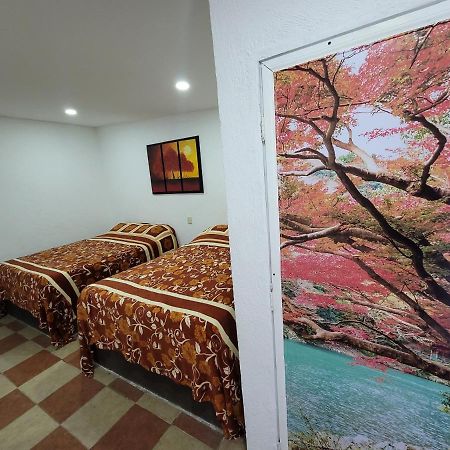 Hotel Vicalis San Juan Teotihuacán Esterno foto